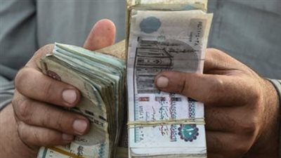 وزارة التموين: تنقية قواعد البيانات لضمان سلامة تنفيذ المنظومة الجديدة للدعم