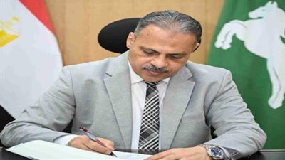محافظ الشرقية