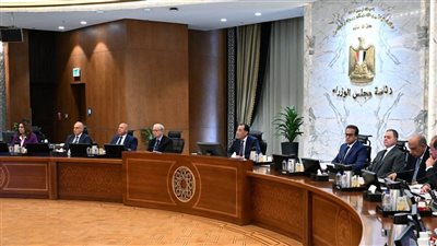 رئيس الوزراء: تحديث منظومة الدولة المصرية يعكس رؤية الرئيس لبناء الجمهورية الجديدة