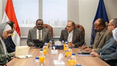 رئيس هيئة الدواء المصرية يستقبل الأمين العام للمجلس القومي للأدوية والسموم بالسودان لبحث تعزيز التعاون
