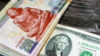 حالة من الهدوء في سوق الصرف: ثبات سعر الدولار في البنوك المصرية اليوم