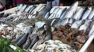 مفاجآت في سوق السمك اليوم.. استقرار أسعار البلطي وتذبذب في أسعار الثعابين والسبيط