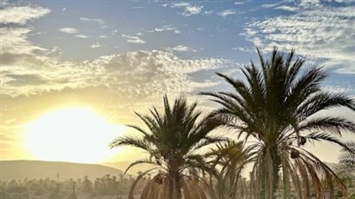 تحذير للسائقين: شبورة مائية كثيفة في الصباح الباكر على الطرق السريعة