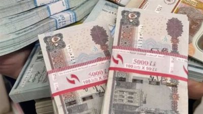 المالية: صرف مرتبات يوليو 2026 يبدأ من يوم 24 الجاري