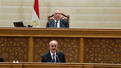 النواب يوافق من حيث المبدأ على قانون إعادة تنظيم جهاز مستقبل مصر