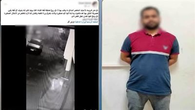 ضبط المتهم بقتل قطة في المحلة.. والداخلية: اعترف بارتكاب الواقعة خوفًا على نجلته