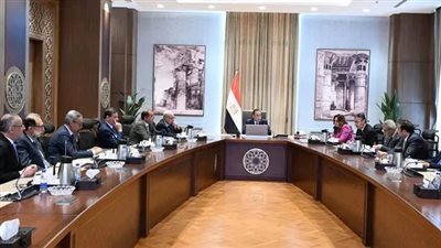 رئيس الوزراء يستعرض خطوات إعداد برنامج وطني يستهدف استقرار أسعار السلع وخفض الأعباء المعيشية