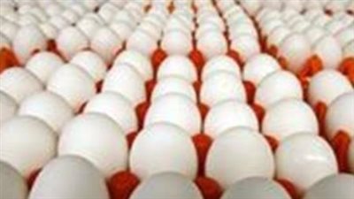 استقرار أسعار كرتونة البيض في الأسواق اليوم 16 يوليو