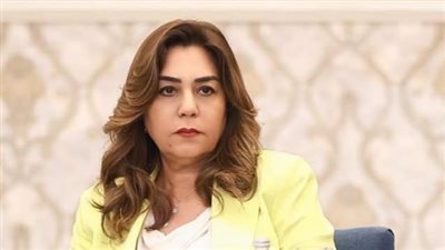  مصر تقود تحركات الدول النامية لمواجهة تغير المناخ خلال اجتماعات D-8