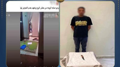الداخلية تكشف حقيقة فيديو التعدي على زوجة وشقيقها بالسلاح الأبيض في السويس.. وضبط المتهم