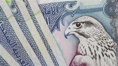 استقرار أسعار صرف الدرهم الإماراتي في البنوك المصرية