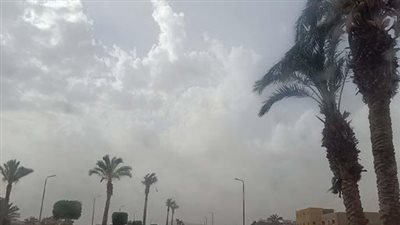 الإجراءات الاحترازية والوقائية للتعامل مع موجة الطقس الحار الحالية