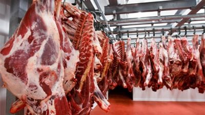 خريطة أسعار اللحوم في منافذ وزارة الزراعة ومحلات وطنية بتخفيضات تنافسية هائلة