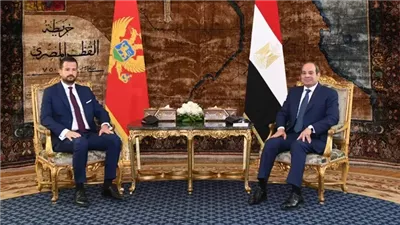 السيسي: مصر ترفض الاعتداءات على الدول العربية وتدعم أمن واستقرار الخليج