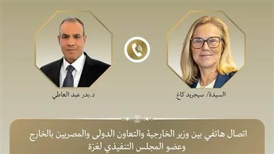 وزير الخارجية يبحث مع عضو المجلس التنفيذي لغزة تطورات الأوضاع في الأراضي الفلسطينية المحتلة