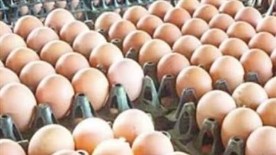 استقرار ملحوظ في أسعار كرتونة البيض الأحمر والبيض الأبيض بمختلف الأسواق المحلية