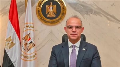 وزير الاستثمار: التزام الشركات والمنشآت بالإفصاح عن بيانات الاستثمار الأجنبي المباشر