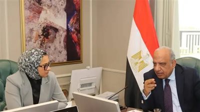 وزير الكهرباء: دعم 
