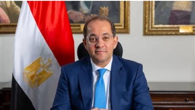 وزير المالية