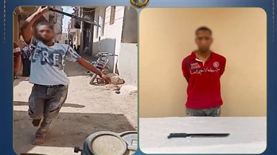 الداخلية تكشف ملابسات فيديو الاعتداء بسلاح أبيض في الفيوم.. وضبط المتهم في الجيزة