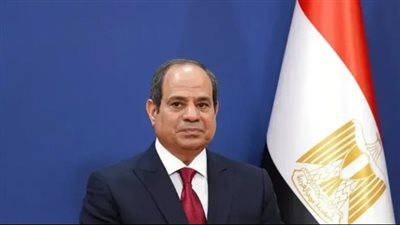 السيسي: واجهنا الإرهاب وواصلنا البناء ونعمل على مستقبل أكثر إشراقًا لمصر