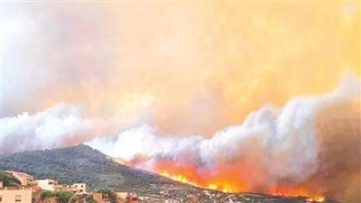 الجزائر تكشف عن أضرار حرائق الغابات في «البويرة»
