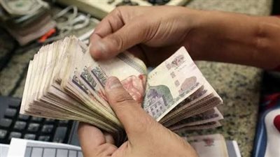 المعاش التكميلي في مصر.. المزايا والأنواع وأهم النصائح قبل الاشتراك