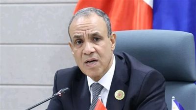 مصر تفتح آفاقًا استثمارية جديدة مع الفلبين.. وزير الخارجية يستعرض الفرص الواعدة ويعزز شراكة مجتمع الأعمال