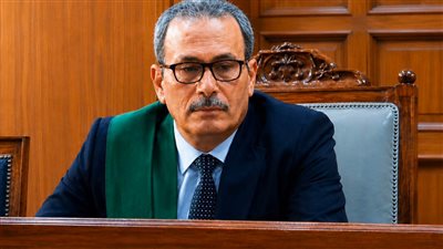 رئيس محكمة استئناف القاهرة 