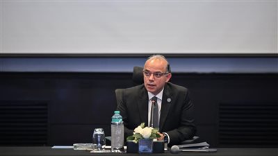 وزير الاستثمار يبحث مع موانئ دبي تعزيز الصادرات للأسواق الأفريقية