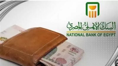 بطاقة الشركات بالدولار الأمريكي.. حل جديد لتبسيط المدفوعات الخارجية في مصر