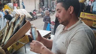محافظ الغربية يتابع نتائج الحملات المكبرة للجنة مراقبة الاسواق في الـ12مركز ومدينة|صور 