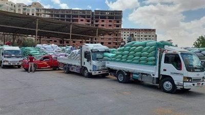 مواقع إستلام القمح تفتح أبوابها أمام المزارعين خلال إجازة شم النسيم