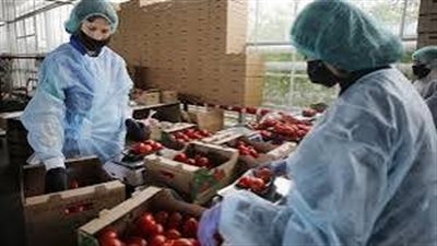 صادرات الصناعات الغذائية ترتفع 31 ٪ إلي  1.6 مليار دولار 