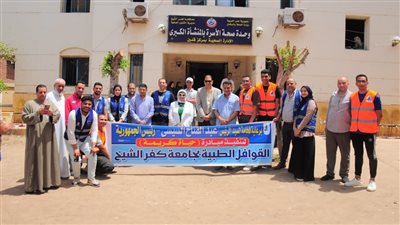 قافلة طبية من جامعة كفر الشيخ لقرية المنشية الكبري
