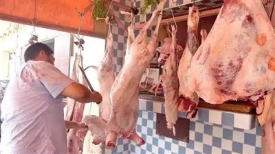 انخفاض أسعار اللحوم اليوم الأحد 20 أكتوبر 2024  وفقاً لمجلس الوزراء 