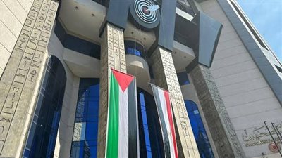 قواعد جديدة لانتساب الصحفيين بالخارج وأساتذة الصحافة والإعلام