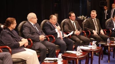 وزير المالية: بدأنا مرحلة تصحيحية لمسار الاقتصاد المصرى لتجاوز التحديات