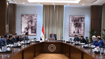 مدبولي يُتابع مع ممثلي قطاع الدواء سُبل توطين الصناعة وزيادة معدلات التصدير