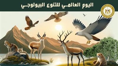 تحت شعار “كن جزءًا من الخطة