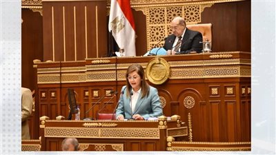 وزيرة التخطيط لـ