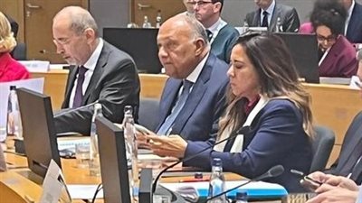 شكري يدعو إلى ضرورة تضافر التحركات العربية والأوروبية لوقف الحرب على غزة