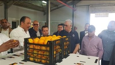 وزير الزراعة يتفقد احدى محطات ومزارع التصدير بالنوبارية 