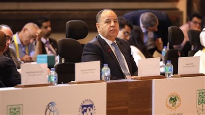 وزير المالية: الدولة تحشد كل قدراتها للسيطرة على التضخم.. ودفع النشاط الاقتصادى