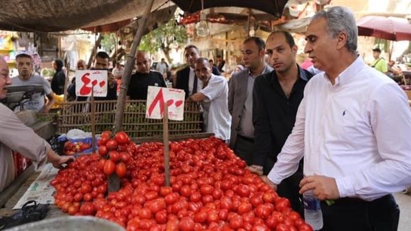 حملات رقابية 