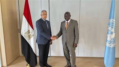 وزير العمل لنظيره الزيمبابوي: مصر حريصة على تعزيز التعاون مع الأشقاء الأفارقة