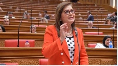 وزيرة التخطيط تناقش مشروع خطة التنمية الاقتصادية بالجلسة العامة لمجلس النواب