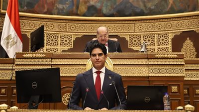 مجلس الشيوخ يوافق على دراسة حول 