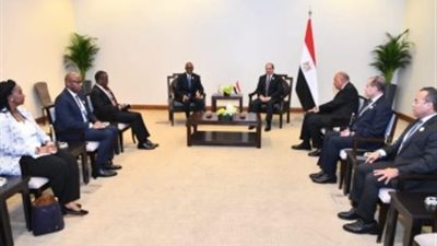 الرئيس السيسي يلتقي نظيره الرواندي في مؤتمر الاستجابة الإنسانية الطارئة لغزة ‎