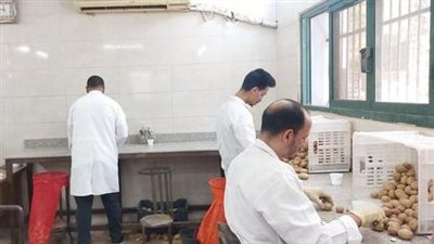الزراعة: معامل “مكافحة العفن البني” تفحص أكثر من مليون طن بطاطس منذ بداية الموسم